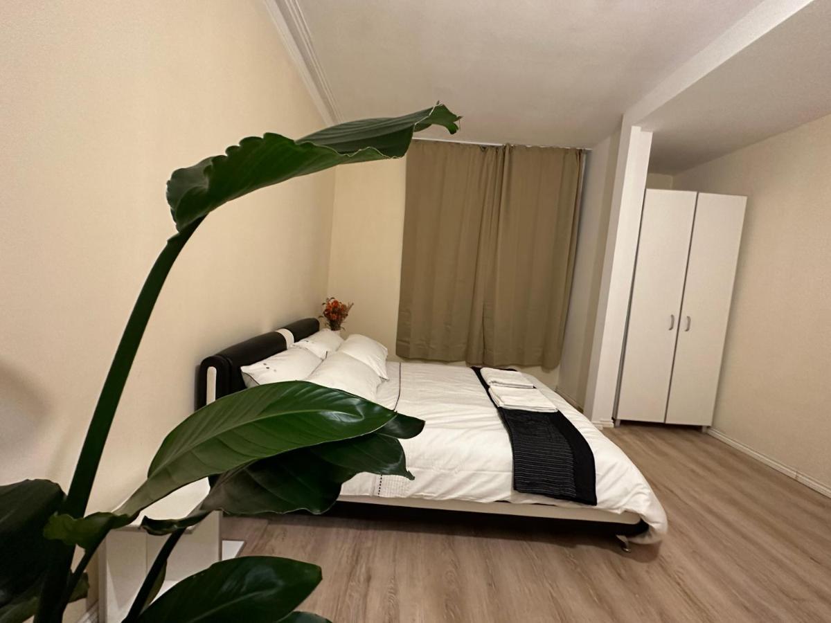 North London A Spacious 7 Bedroom House Accommodating Up To 18 People Complete With Own Gym And Table Tennis Экстерьер фото